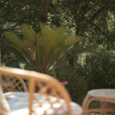 B&B Dei Fiori Praia a Mare Extérieur photo