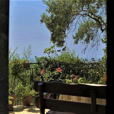 B&B Dei Fiori Praia a Mare Extérieur photo