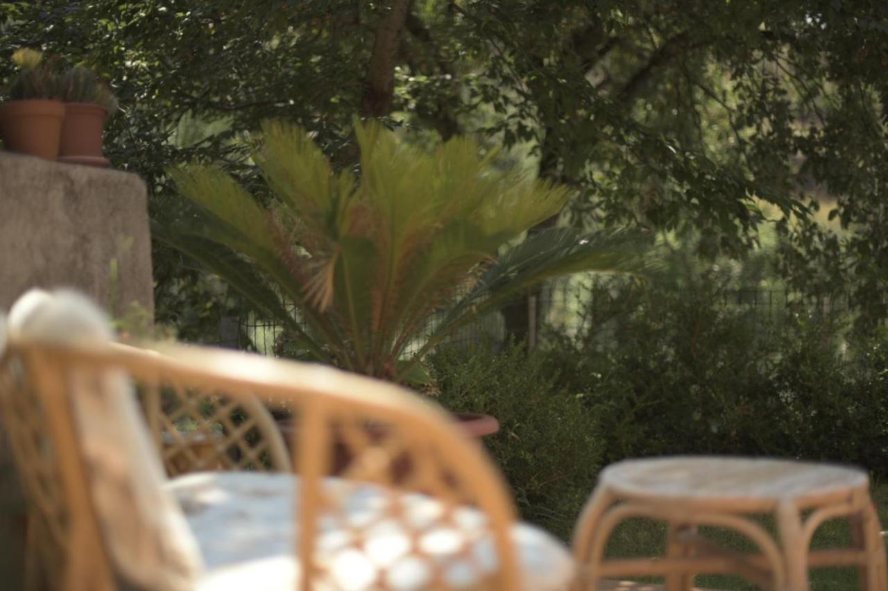 B&B Dei Fiori Praia a Mare Extérieur photo