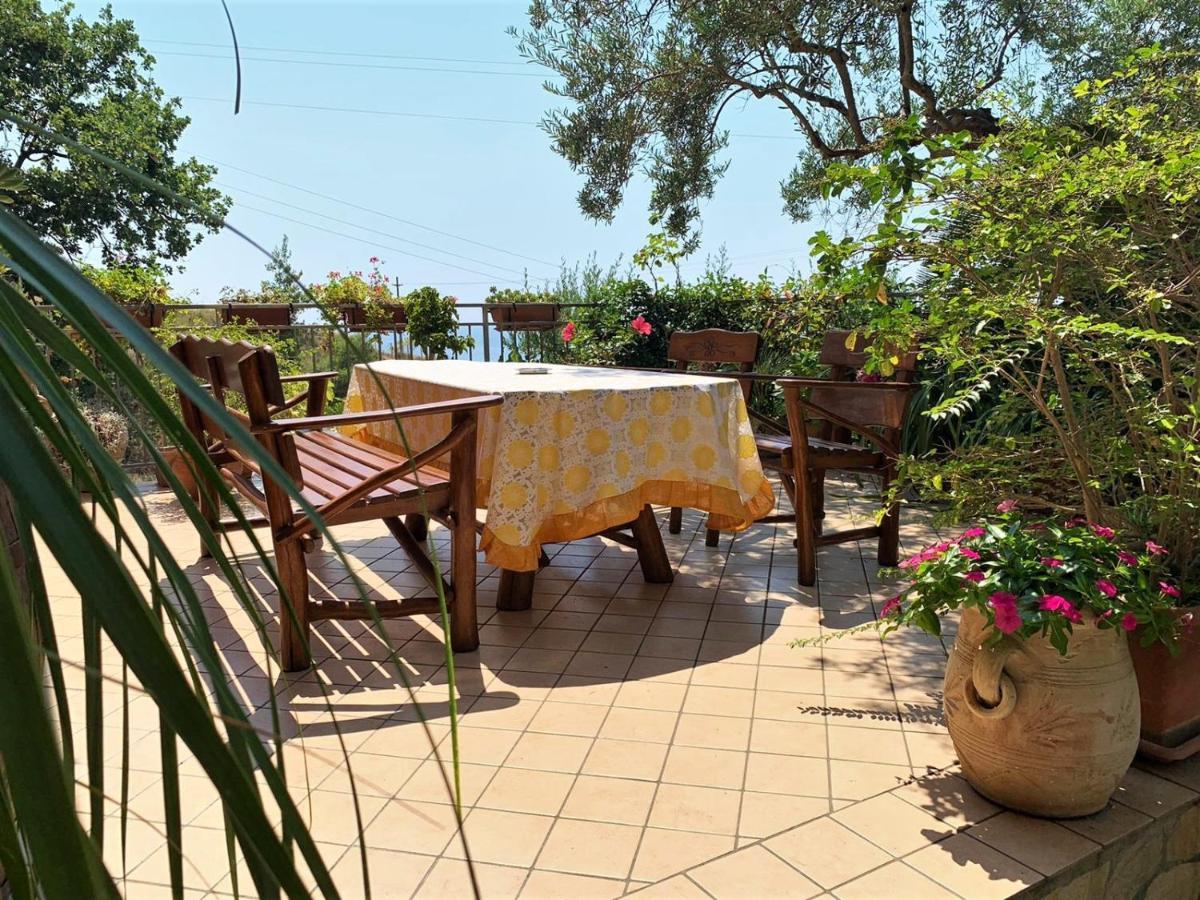 B&B Dei Fiori Praia a Mare Extérieur photo