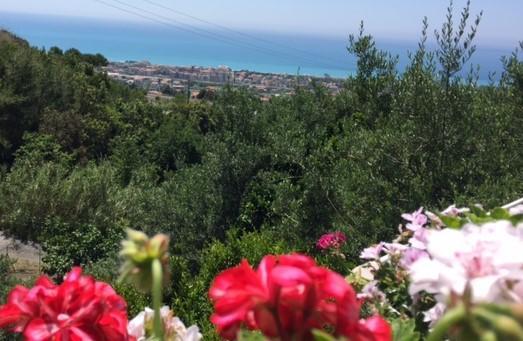 B&B Dei Fiori Praia a Mare Extérieur photo
