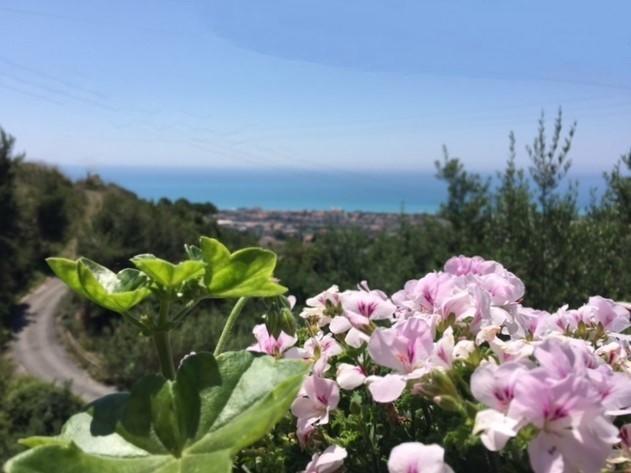 B&B Dei Fiori Praia a Mare Extérieur photo
