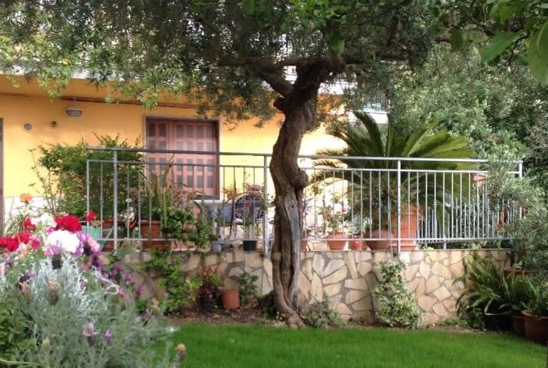 B&B Dei Fiori Praia a Mare Extérieur photo