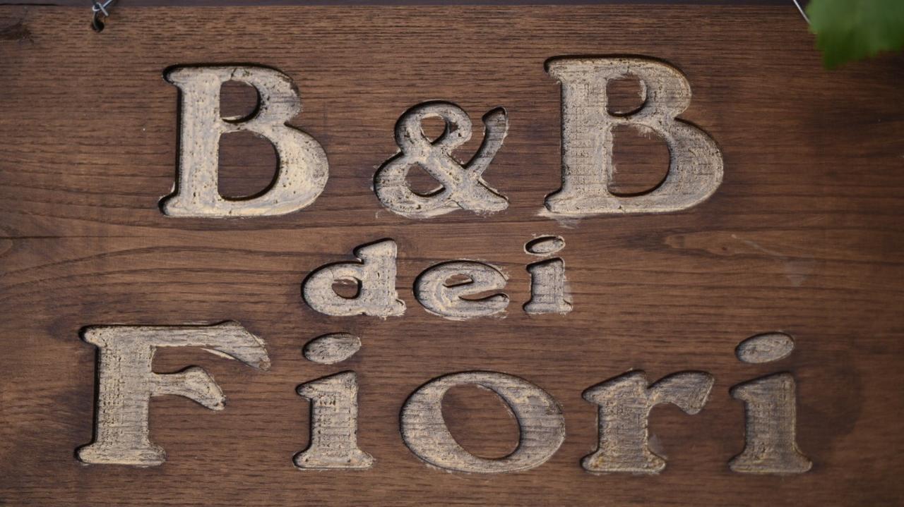 B&B Dei Fiori Praia a Mare Extérieur photo
